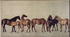 Mares and Foals without a Background, c.1762